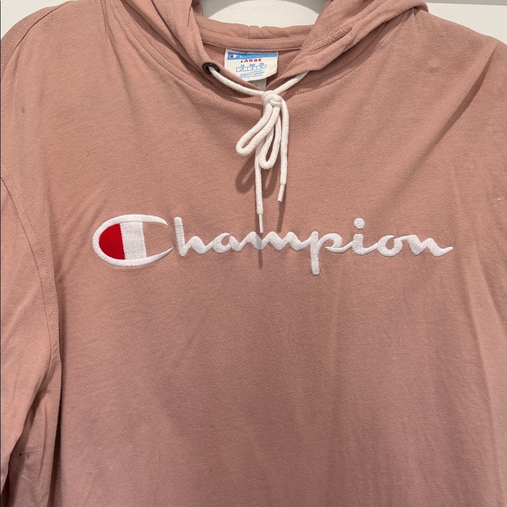 Men's Champion Embroidered Script Hoodie in Dusty Rose
